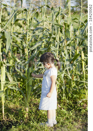 Home garden Home garden 18420062