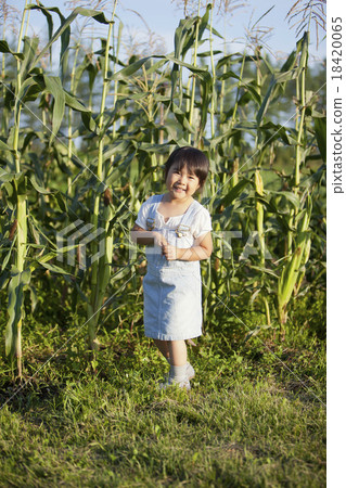 家庭花園 家庭花園 18420065