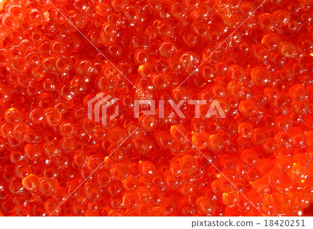 red  caviar, macro shot , focus on a center 18420251