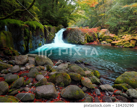 Kikuchi Gorge 18420290