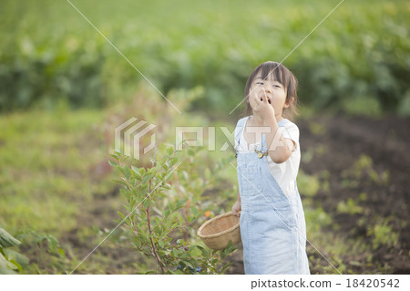 Family gardening 18420542