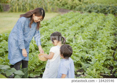 Family gardening 18420546