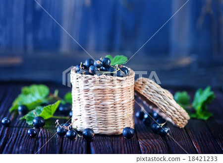 black currant 18421233