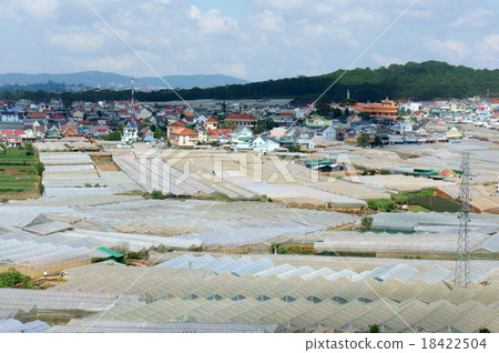 floriculture industry, greenhouse, effect, dalat floriculture industry, greenhouse, effect, dalat 18422504
