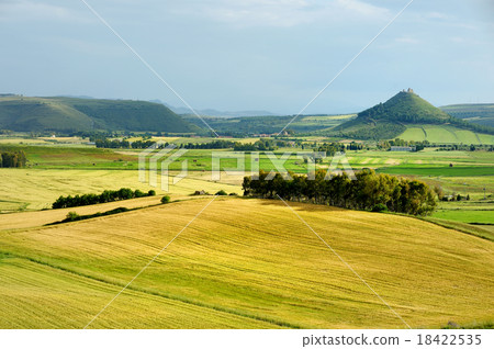 Scenic landscape of a yellow and green meadow Scenic landscape of a yellow and green meadow 18422535