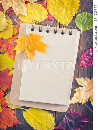 autumn background autumn background 18422725
