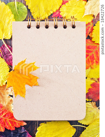 autumn leaves autumn leaves 18422726