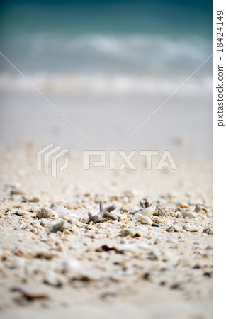 little stones on beach little stones on beach 18424149