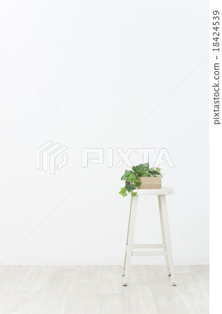 室內盆栽植物和椅子 室內盆栽植物和椅子 18424539