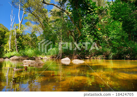 Beautiful river in Waimea Valley on Oahu island 18424705