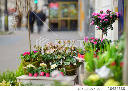 Beautiful flowers sold on outdoor flower shop 18424888