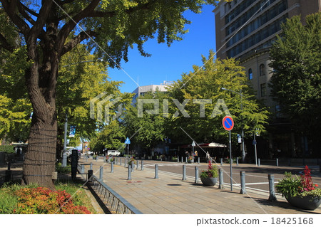 Japan main street in Naka Ward, Yokohama 18425168