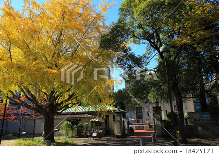 Yokohama Port Opening Archive Museum in autumn 18425171