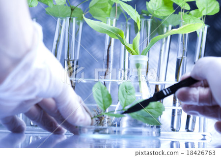 Chemical laboratory glassware, bio organic  18426763