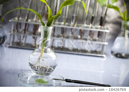 Chemical laboratory glassware, bio organic Chemical laboratory glassware, bio organic 18426769