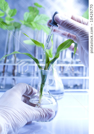 Chemical laboratory glassware, bio organic  18426770