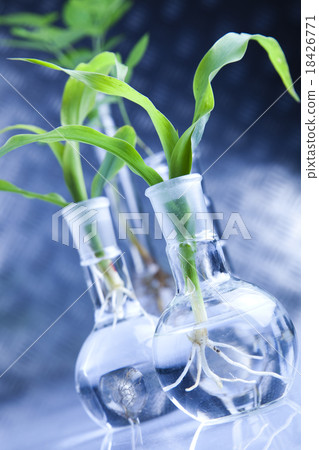 Chemistry equipment, plants laboratory Chemistry equipment, plants laboratory 18426771