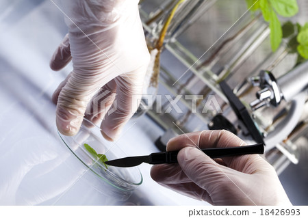 Laboratory, bio organic modern concept Laboratory, bio organic modern concept 18426993