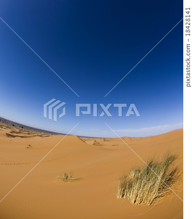 Dunes in Moroccan Sahara, colorful vibrant travel  18428141