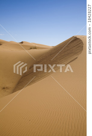 Sand background, colorful vibrant travel theme 18428227