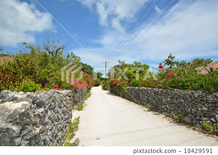 Taketomijima 18429591