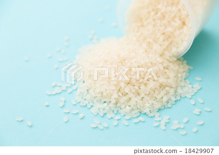 Rice 18429907