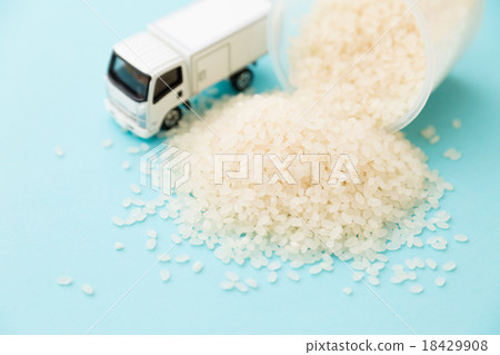 Rice 18429908