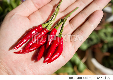Pepper on hand 18430100