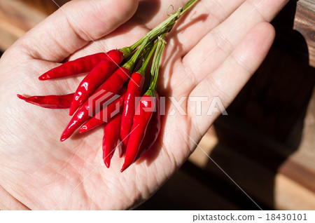Pepper on hand 18430101