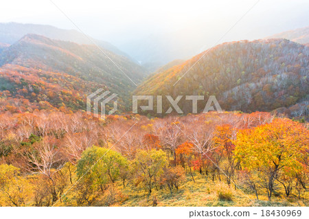 [Nikko City, Tochigi Prefecture] Evening grounds and autumn leaves 18430969