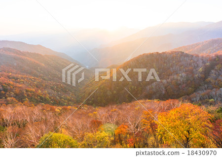[Nikko City, Tochigi Prefecture] Evening grounds and autumn leaves 18430970