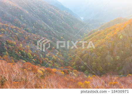 [Nikko City, Tochigi Prefecture] Evening grounds and autumn leaves 18430971