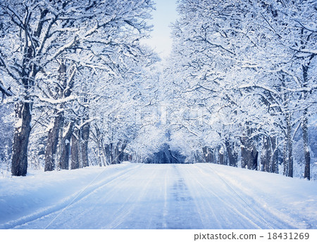 Alley in snowy morning Alley in snowy morning 18431269