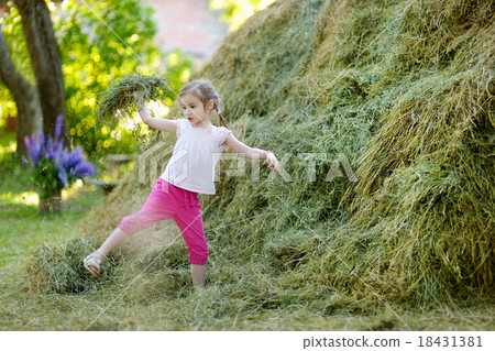 Adorable little girl playing in a haystack Adorable little girl playing in a haystack 18431381