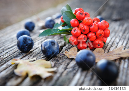 Romantic autumn still life 18436183