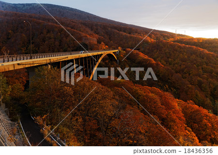 The Shirogakura Ohashi at dusk and the surrounding colored leaves The Shirogakura Ohashi at dusk and the surrounding colored leaves 18436356