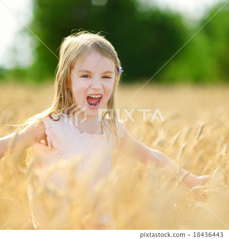 Adorable girl walking happily in wheat field Adorable girl walking happily in wheat field 18436443