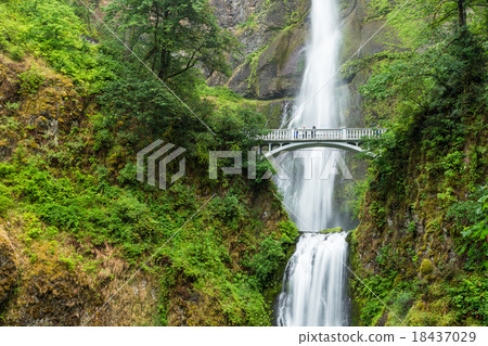 Multnomah falls in Columbia river gorge, Oregon 18437029
