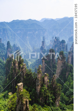 scene of rock mountain in Zhangjiajie National Forest Park,Hunan 18437195