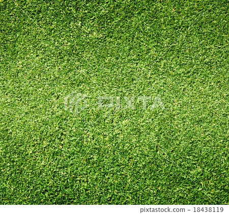 Beautiful green grass texture 18438119
