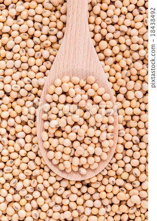 Close Up soy beans in wooden spoon Close Up soy beans in wooden spoon 18438492