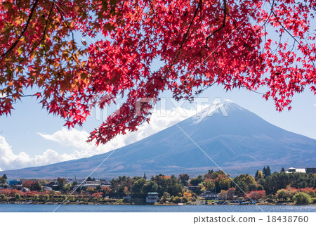 富士秋葉Kawaguchiko 富士秋葉Kawaguchiko 18438760