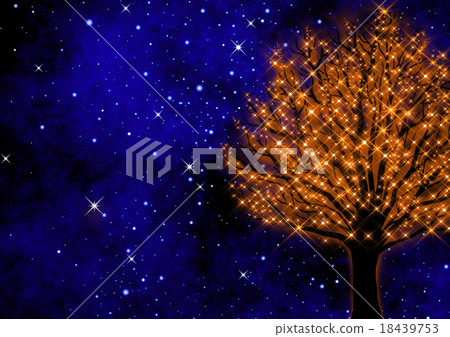 滿天星斗的天空和樹木的照明 18439753