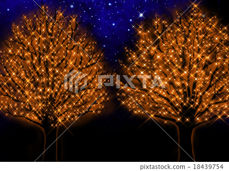 滿天星斗的天空和樹木的照明 18439754