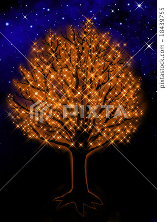 滿天星斗的天空和樹木的照明 滿天星斗的天空和樹木的照明 18439755