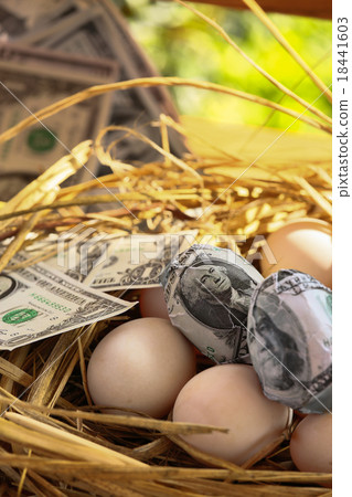 dollar Banknote in nest eggs, Growing of business dollar Banknote in nest eggs, Growing of business 18441603
