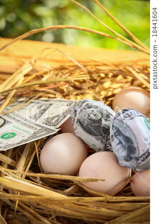 dollar Banknote in nest eggs, Growing of business dollar Banknote in nest eggs, Growing of business 18441604