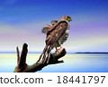 Painting of an eagle on dead tree at beach 18441797