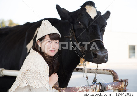 Cow women 18442035