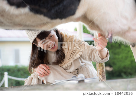 Milking female 18442036